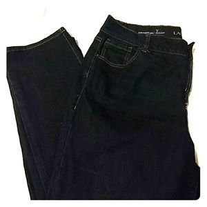 Lane Bryant Straight Leg Dark Wash Size 20 Short
